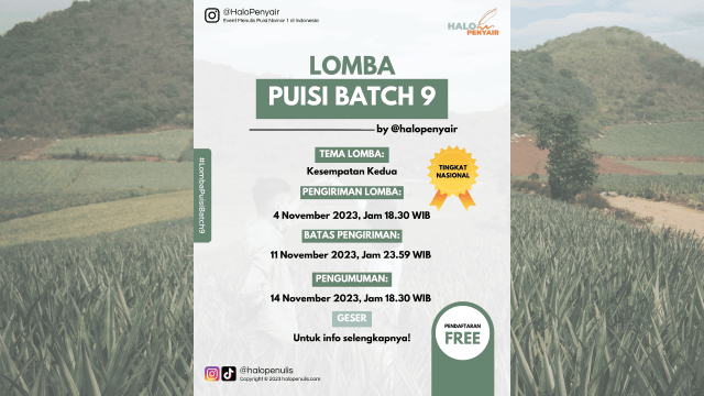 POSTER ARTIKEL LP B9