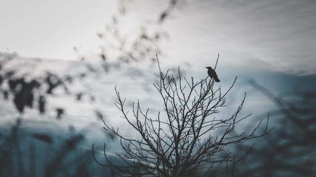 5 Cara Menulis Cerpen Horor yang Mencekam, Ini Caranya!