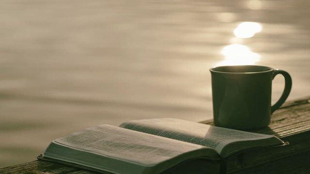 Mengenal 10 Jenis Genre Novel Berdasarkan Usia, Ini Dia!