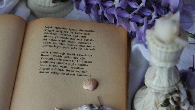 10 Tips Menulis Puisi untuk Pemula agar Mudah dalam Merangkai Setiap Kata