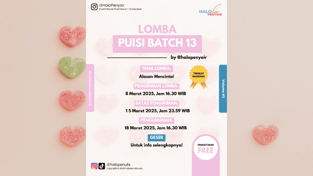 Poster artikel LP B13