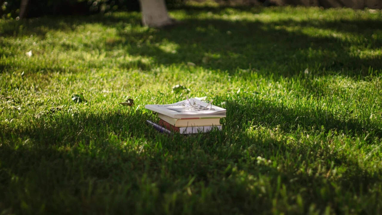 7 Rekomendasi Buku Tentang Sustainability yang Cocok Dipelajari Pemula hingga Profesional