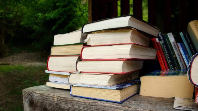 7 Rekomendasi Buku Tentang Sustainability yang Cocok Dipelajari Pemula hingga Profesional