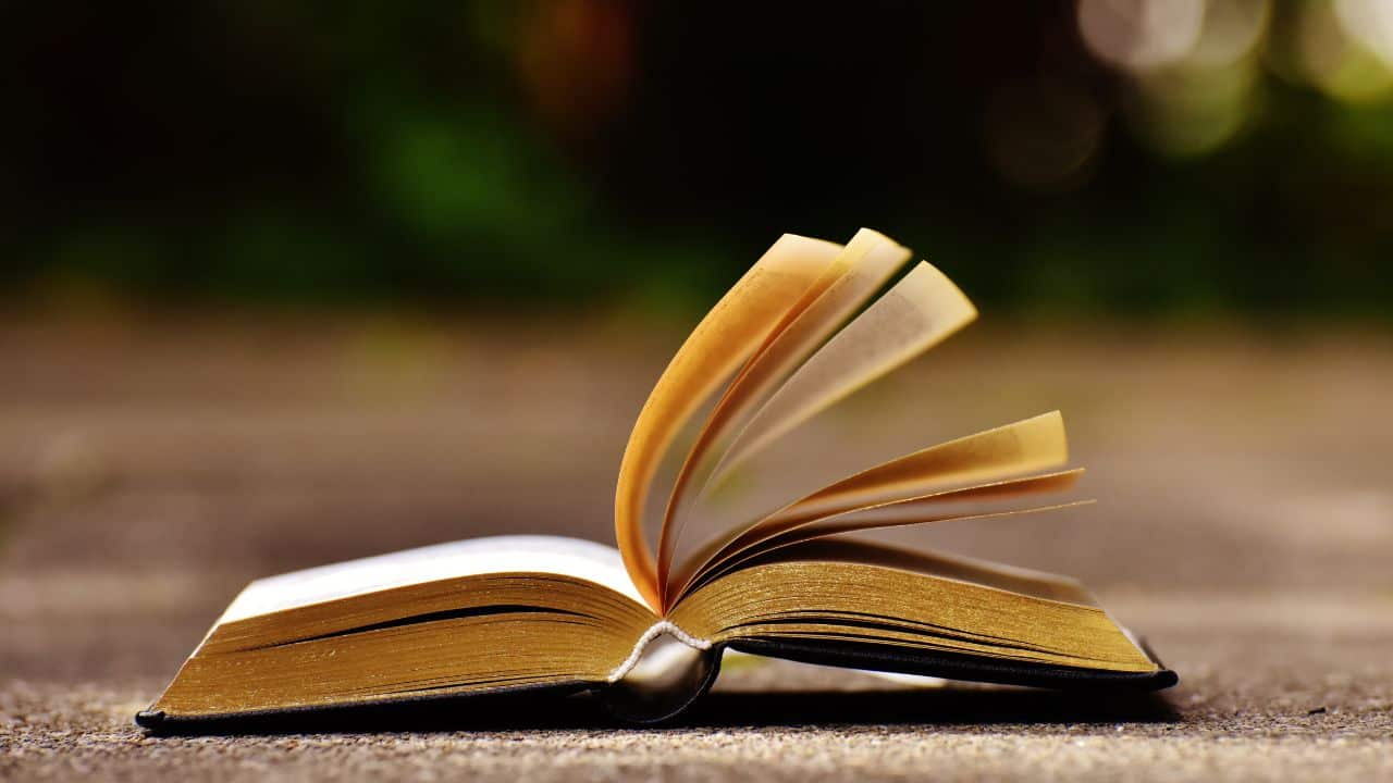 Cara Memilih Material Cover Buku yang Tepat agar Hasil Cetak Maksimal