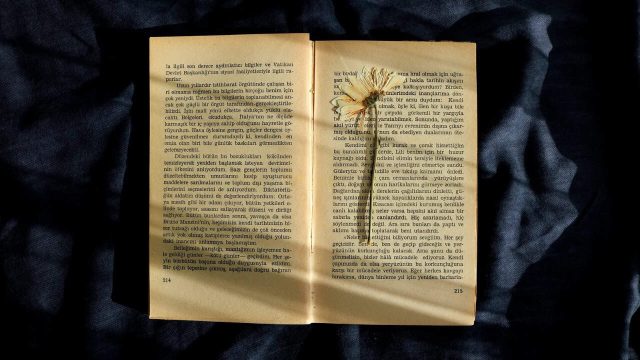 Cara Mudah untuk Menentukan Tema Cerita yang Tepat