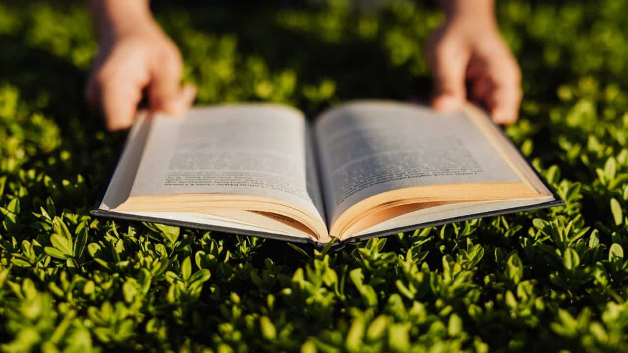 10+ Keuntungan Memilih Penerbit Indie bagi Penulis Pemula