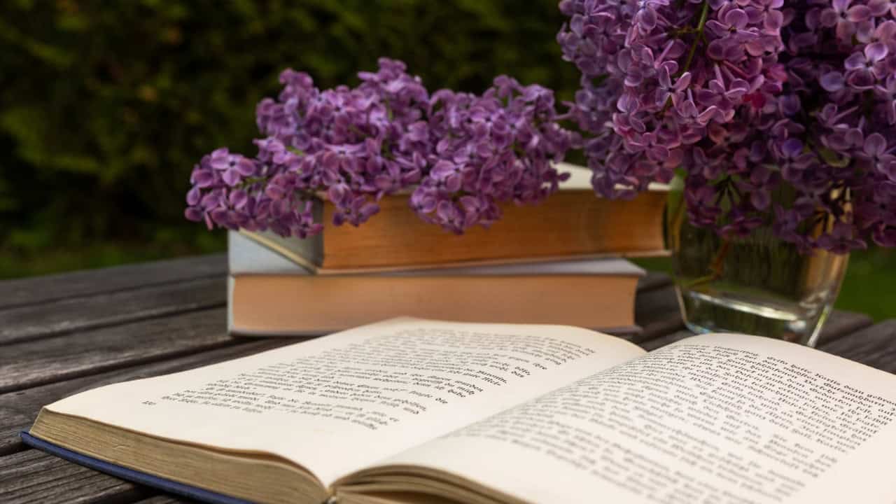 Struktur Cerita Novel yang Penting untuk Dipahami Penulis